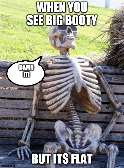 Waiting Skeleton | WHEN YOU SEE BIG BOOTY; DAMN
IT! BUT ITS FLAT | image tagged in memes,waiting skeleton | made w/ Imgflip meme maker