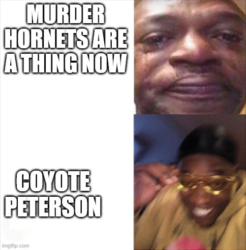 Sad Happy | MURDER HORNETS ARE A THING NOW; COYOTE PETERSON | image tagged in sad happy | made w/ Imgflip meme maker
