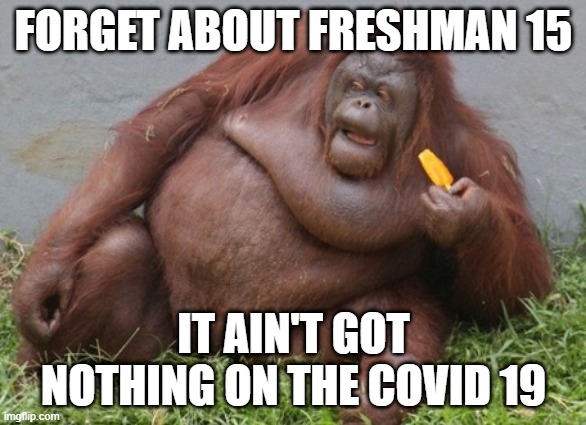 Covid 19 | FORGET ABOUT FRESHMAN 15; IT AIN'T GOT NOTHING ON THE COVID 19 | image tagged in covid19,weight,gain,freshman15,covid,weightgain | made w/ Imgflip meme maker