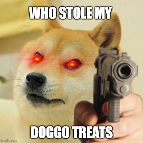 Doge holding a gun | WHO STOLE MY; DOGGO TREATS | image tagged in doge holding a gun | made w/ Imgflip meme maker