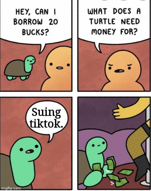 Suing tiktok. | image tagged in why does a turtle need money | made w/ Imgflip meme maker