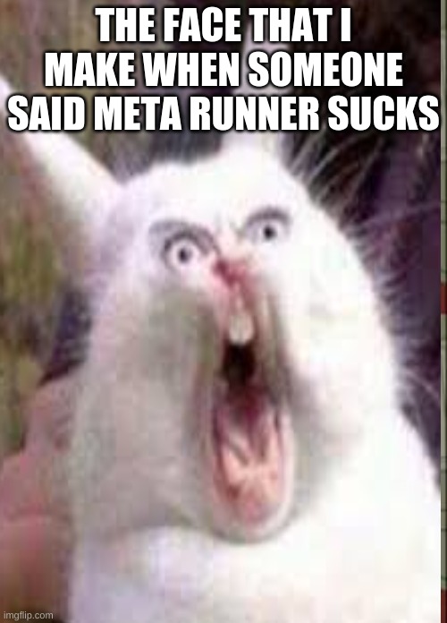 Meta runner meme | THE FACE THAT I MAKE WHEN SOMEONE SAID META RUNNER SUCKS | image tagged in funny memes | made w/ Imgflip meme maker