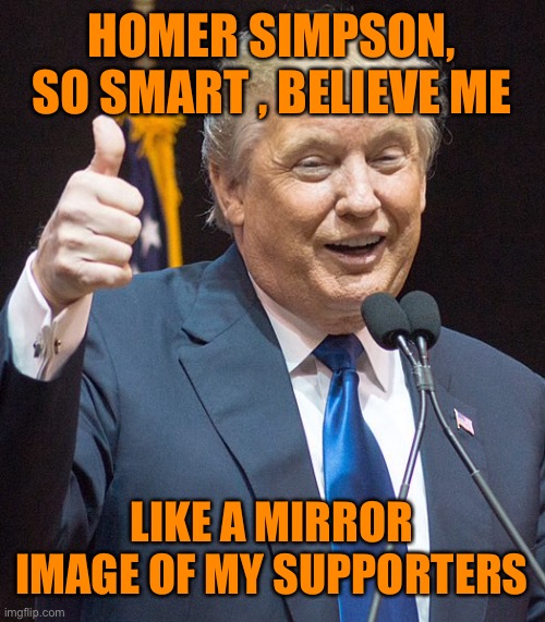 HOMER SIMPSON, SO SMART , BELIEVE ME LIKE A MIRROR IMAGE OF MY SUPPORTERS | made w/ Imgflip meme maker