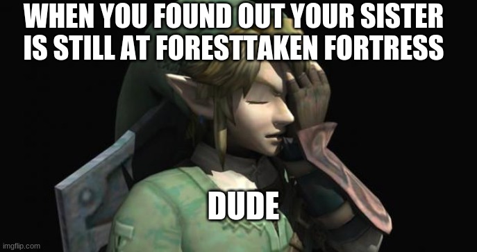 Link Facepalm | WHEN YOU FOUND OUT YOUR SISTER IS STILL AT FORESTTAKEN FORTRESS; DUDE | image tagged in link facepalm | made w/ Imgflip meme maker
