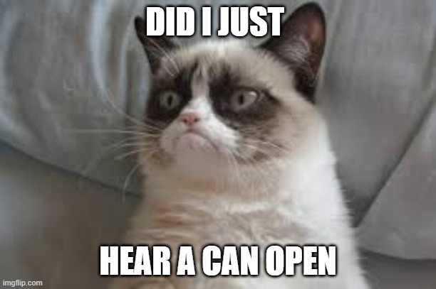 Grumpy cat | DID I JUST; HEAR A CAN OPEN | image tagged in grumpy cat | made w/ Imgflip meme maker