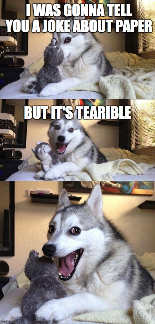 Bad Pun Dog Meme | I WAS GONNA TELL YOU A JOKE ABOUT PAPER; BUT IT'S TEARIBLE | image tagged in memes,bad pun dog | made w/ Imgflip meme maker