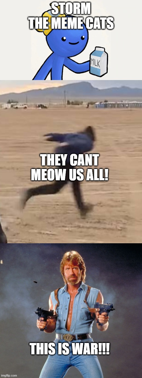 STORM THE MEME CATS; THEY CANT MEOW US ALL! THIS IS WAR!!! | image tagged in chuck norris guns,area 51 naruto runner,got milk,cats,cat memes,memes | made w/ Imgflip meme maker