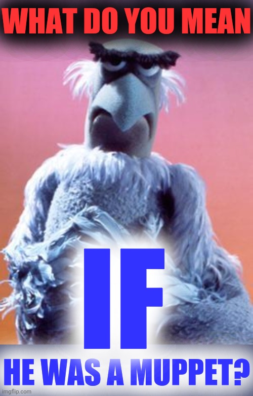 Sam The Eagle | WHAT DO YOU MEAN HE WAS A MUPPET? IF | image tagged in sam the eagle | made w/ Imgflip meme maker