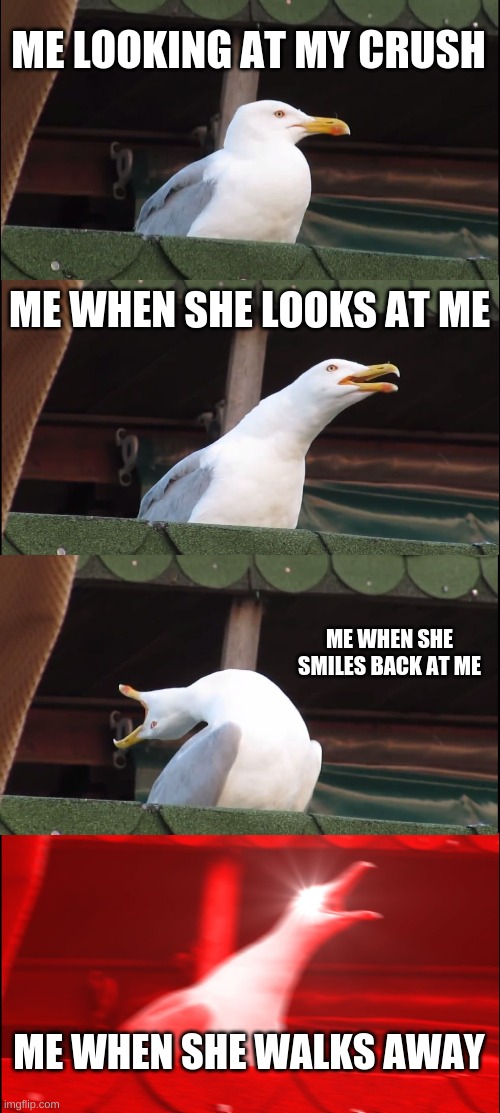 Inhaling Seagull | ME LOOKING AT MY CRUSH; ME WHEN SHE LOOKS AT ME; ME WHEN SHE SMILES BACK AT ME; ME WHEN SHE WALKS AWAY | image tagged in memes,inhaling seagull | made w/ Imgflip meme maker