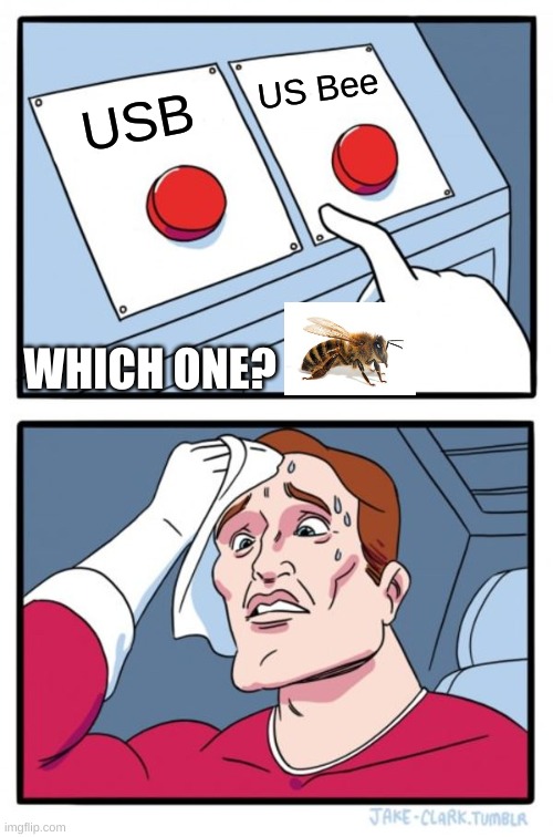Which one? | US Bee; USB; WHICH ONE? | image tagged in memes,two buttons | made w/ Imgflip meme maker