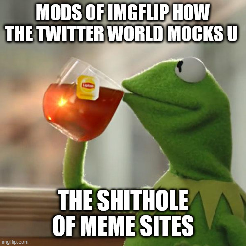 But That's None Of My Business Meme | MODS OF IMGFLIP HOW THE TWITTER WORLD MOCKS U; THE SHITHOLE OF MEME SITES | image tagged in memes,but that's none of my business,kermit the frog | made w/ Imgflip meme maker