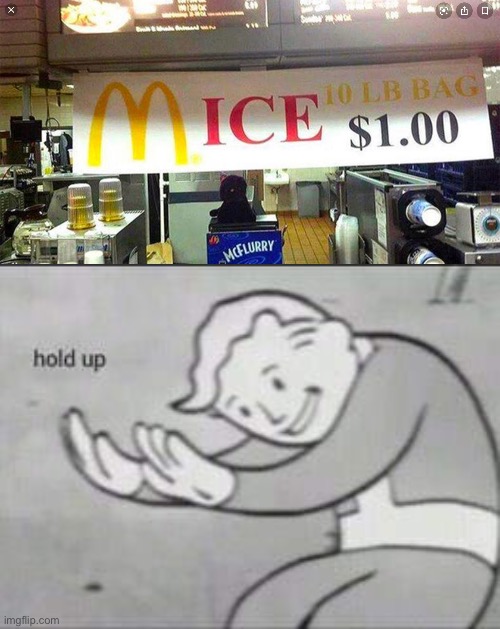 Mice | image tagged in fallout hold up,mice,design,fails,design fails | made w/ Imgflip meme maker