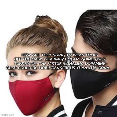 Mask Couple | HOW ARE THEY GOING TO WEAN FOLKS OFF THE MASK WEARING? I MEAN...GOING COLD TURKEY OFF THE VIRTUE SIGNALING DOPAMINE RUSH COULD BE MORE DANGEROUS THAN THE 'RONA. | image tagged in mask couple | made w/ Imgflip meme maker