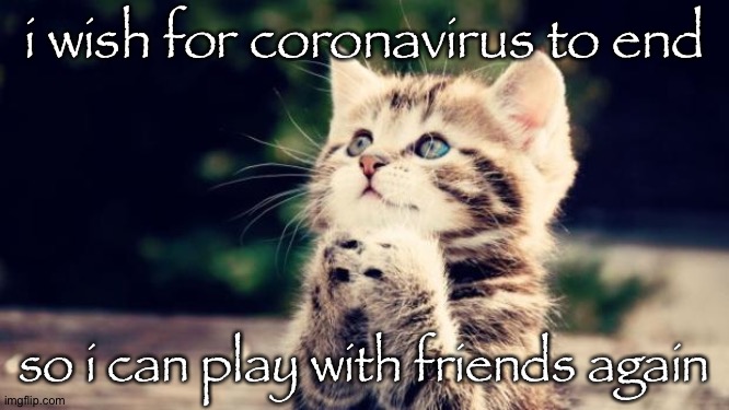 We All Want it to End... |  i wish for coronavirus to end; so i can play with friends again | image tagged in cute kitten,kitten,coronavirus,covid-19 | made w/ Imgflip meme maker