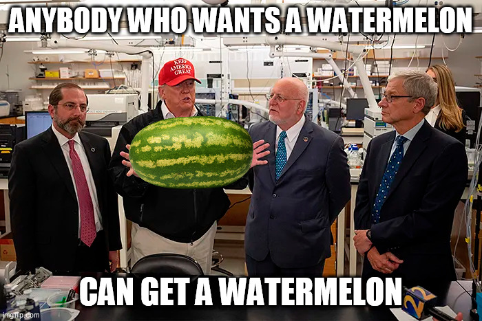 CDC Watermelon | ANYBODY WHO WANTS A WATERMELON; CAN GET A WATERMELON | image tagged in watermelon,cdc,coronavirus,covid-19,kelly loeffler | made w/ Imgflip meme maker