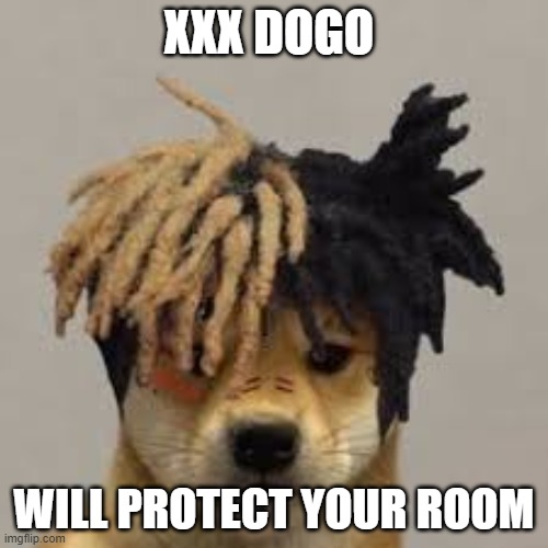 xxxdogo | XXX DOGO; WILL PROTECT YOUR ROOM | image tagged in dog | made w/ Imgflip meme maker
