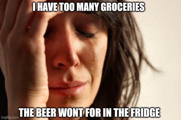 First World Problems | I HAVE TOO MANY GROCERIES; THE BEER WONT FOR IN THE FRIDGE | image tagged in memes,first world problems | made w/ Imgflip meme maker