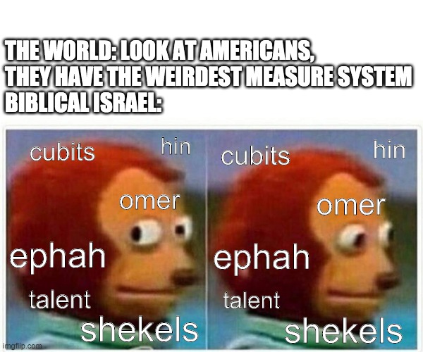 Monkey Puppet | THE WORLD: LOOK AT AMERICANS, 
THEY HAVE THE WEIRDEST MEASURE SYSTEM
BIBLICAL ISRAEL:; hin; hin; cubits; cubits; omer; omer; ephah; ephah; talent; talent; shekels; shekels | image tagged in memes,monkey puppet,metric,america | made w/ Imgflip meme maker