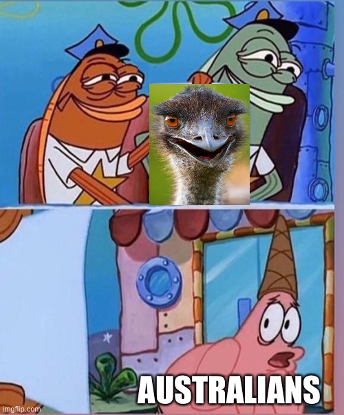 Emu>Australian | AUSTRALIANS | image tagged in patrick is afraid of writing,memes,australia | made w/ Imgflip meme maker