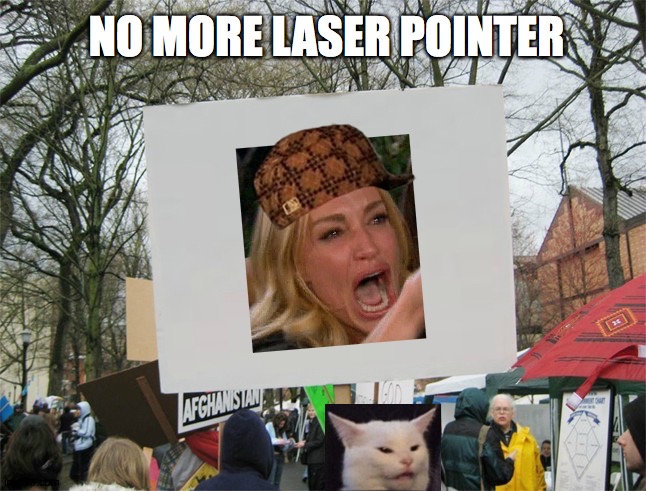 Our Second Date | NO MORE LASER POINTER | image tagged in memes,blank protest sign,woman yelling at cat,laser,angry lady cat,speed dating | made w/ Imgflip meme maker