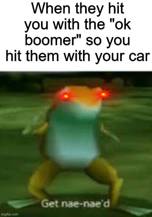 Get Nae Nae'd B*s | When they hit you with the "ok boomer" so you hit them with your car | image tagged in get nae nae'd | made w/ Imgflip meme maker