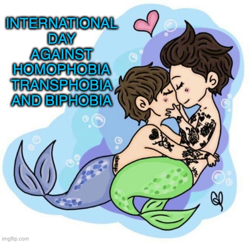 international day against homophobia transphobia and biphobia | INTERNATIONAL DAY AGAINST HOMOPHOBIA TRANSPHOBIA AND BIPHOBIA | image tagged in merman,homophobia | made w/ Imgflip meme maker