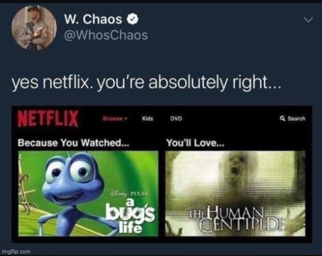 Netflix is right | image tagged in netflix and chill,funny,horror | made w/ Imgflip meme maker