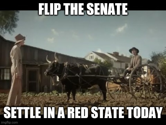 settlers | FLIP THE SENATE; SETTLE IN A RED STATE TODAY | image tagged in settlers | made w/ Imgflip meme maker