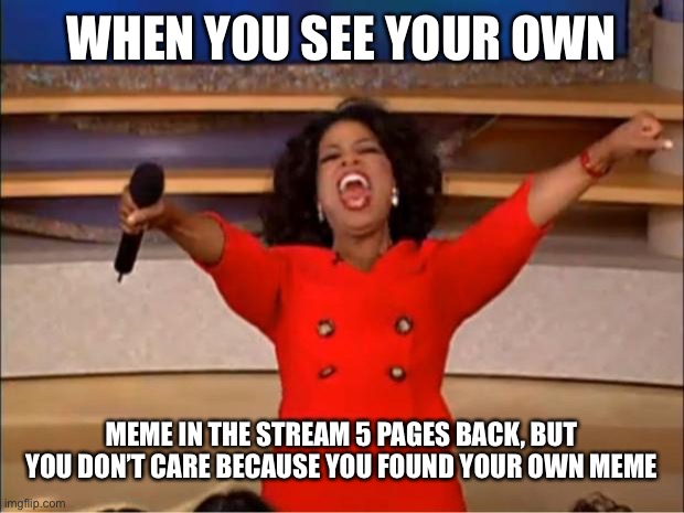 Ya boi | WHEN YOU SEE YOUR OWN; MEME IN THE STREAM 5 PAGES BACK, BUT YOU DON’T CARE BECAUSE YOU FOUND YOUR OWN MEME | image tagged in memes,oprah you get a | made w/ Imgflip meme maker