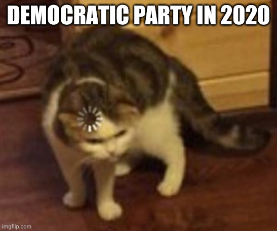 Loading cat | DEMOCRATIC PARTY IN 2020 | image tagged in loading cat | made w/ Imgflip meme maker