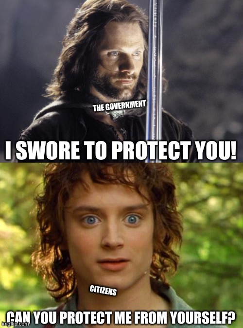 I SWORE TO PROTECT YOU! CAN YOU PROTECT ME FROM YOURSELF? THE GOVERNMENT CITIZENS | image tagged in memes,surpised frodo,aragorn with sword | made w/ Imgflip meme maker