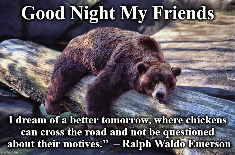 night | Good Night My Friends; I dream of a better tomorrow, where chickens
can cross the road and not be questioned
 about their motives.”  – Ralph Waldo Emerson | image tagged in night | made w/ Imgflip meme maker