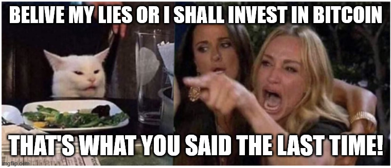 A Mood I'm In | BELIVE MY LIES OR I SHALL INVEST IN BITCOIN; THAT'S WHAT YOU SAID THE LAST TIME! | image tagged in woman yelling at cat flip | made w/ Imgflip meme maker