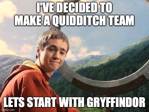 Write in the comments, Ill choose a captain and the captain will choose his players. If this works, we'll do the other houses. | I'VE DECIDED TO MAKE A QUIDDITCH TEAM; LETS START WITH GRYFFINDOR | image tagged in quidditch,team,gryffindor,captain | made w/ Imgflip meme maker