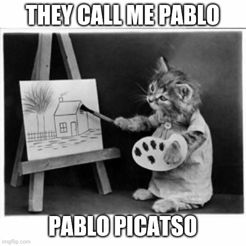 Painting pablo |  THEY CALL ME PABLO; PABLO PICATSO | image tagged in cats,painting,picasso,cheeky | made w/ Imgflip meme maker