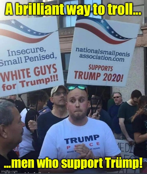 A brilliant way to troll men who support Trümp | A brilliant way to troll... ...men who support Trümp! | image tagged in donald trump,trolling,donald drumpf,dump trump | made w/ Imgflip meme maker