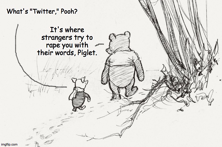 Pooh and Piglet | What's "Twitter," Pooh? It's where strangers try to rape you with their words, Piglet. | image tagged in pooh  piglet | made w/ Imgflip meme maker