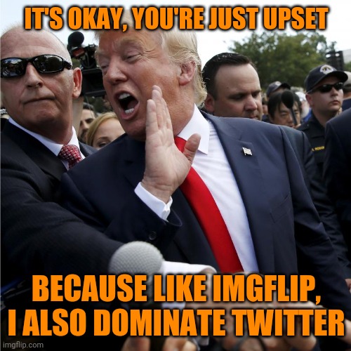 It's Okay | IT'S OKAY, YOU'RE JUST UPSET BECAUSE LIKE IMGFLIP, I ALSO DOMINATE TWITTER | image tagged in it's okay | made w/ Imgflip meme maker