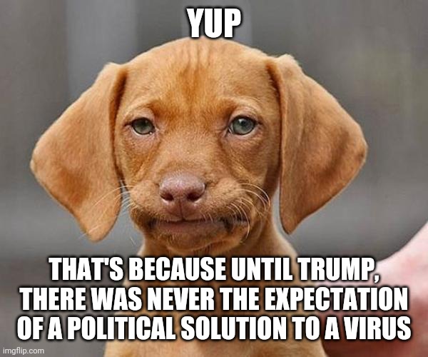 Yup | YUP THAT'S BECAUSE UNTIL TRUMP, THERE WAS NEVER THE EXPECTATION OF A POLITICAL SOLUTION TO A VIRUS | image tagged in yup | made w/ Imgflip meme maker