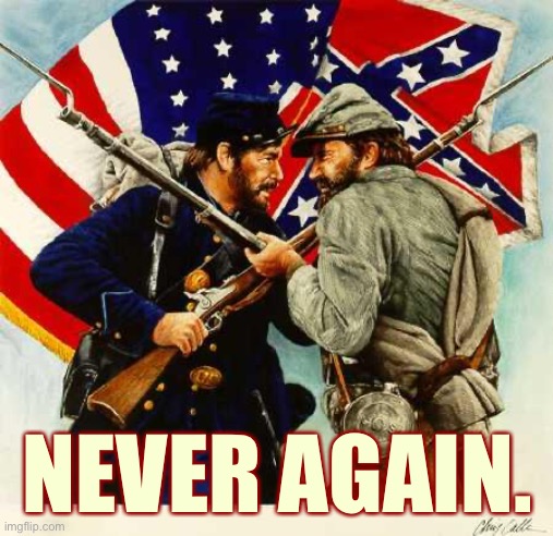 Do I support “blue state secession”? No. I support all patriotic Americans coming together to improve our country. | NEVER AGAIN. | image tagged in civil war soldiers,patriotic,secession,civil war,america,covid-19 | made w/ Imgflip meme maker