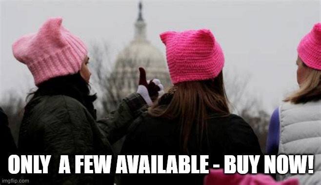 pussy hat Blank Meme Template