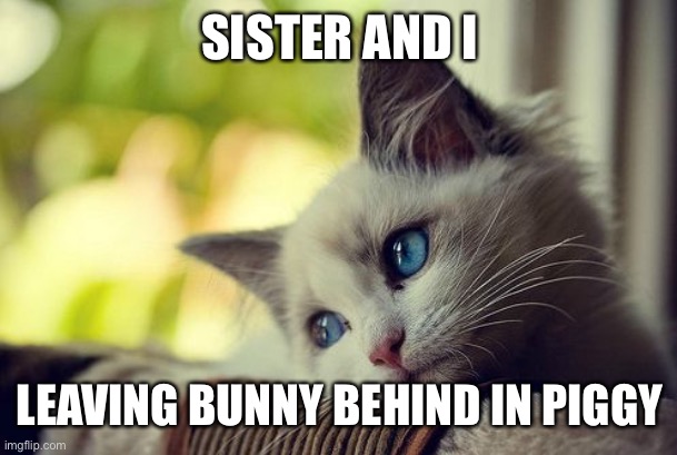 First World Problems Cat Meme | SISTER AND I; LEAVING BUNNY BEHIND IN PIGGY | image tagged in memes,first world problems cat | made w/ Imgflip meme maker