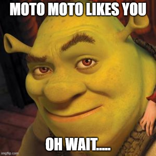 Shrek Sexy Face | MOTO MOTO LIKES YOU; OH WAIT..... | image tagged in shrek sexy face,shrek,funny shit,moto moto,wait what,huh | made w/ Imgflip meme maker