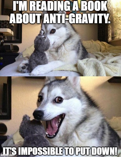 Gravity | I'M READING A BOOK ABOUT ANTI-GRAVITY. IT'S IMPOSSIBLE TO PUT DOWN! | image tagged in memes,bad pun dog,funny memes | made w/ Imgflip meme maker