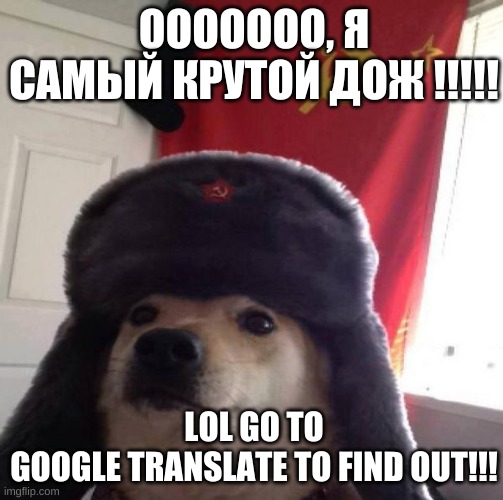 Russian Doge | ООООООО, Я САМЫЙ КРУТОЙ ДОЖ !!!!! LOL GO TO GOOGLE TRANSLATE TO FIND OUT!!! | image tagged in russian doge | made w/ Imgflip meme maker