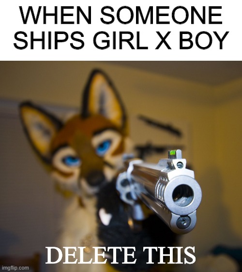 WHEN SOMEONE SHIPS GIRL X BOY; DELETE THIS | image tagged in blank white template,furry with gun | made w/ Imgflip meme maker