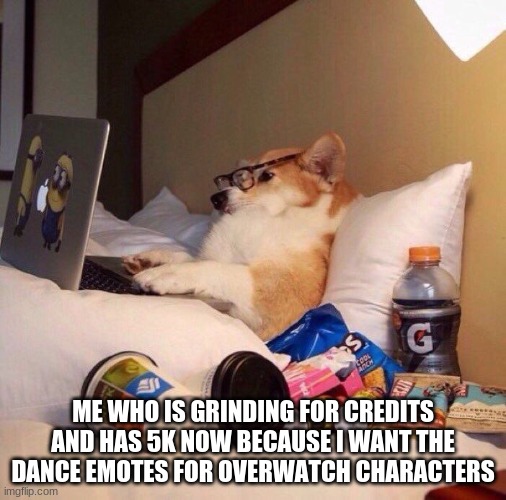 Lazy dog in bed |  ME WHO IS GRINDING FOR CREDITS AND HAS 5K NOW BECAUSE I WANT THE DANCE EMOTES FOR OVERWATCH CHARACTERS | image tagged in lazy dog in bed | made w/ Imgflip meme maker