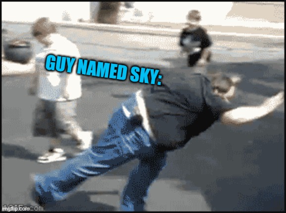 GUY NAMED SKY: | made w/ Imgflip meme maker