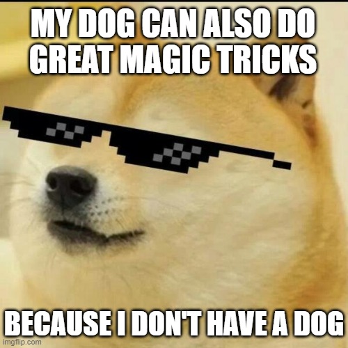 Sunglass Doge | MY DOG CAN ALSO DO    GREAT MAGIC TRICKS BECAUSE I DON'T HAVE A DOG | image tagged in sunglass doge | made w/ Imgflip meme maker