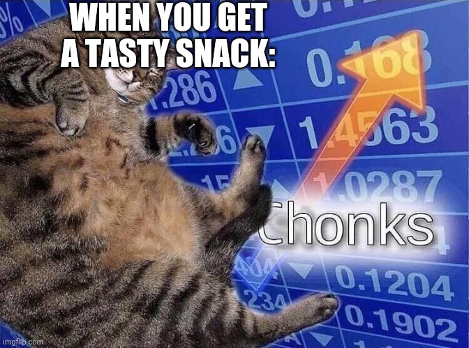 Nom Nom Nom! | WHEN YOU GET A TASTY SNACK: | image tagged in chonks | made w/ Imgflip meme maker